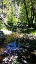 Gallinas Creek.jpg