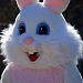 easter bunny wesley j satterwhite april 4 2009 50